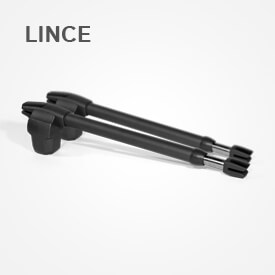 LINCE